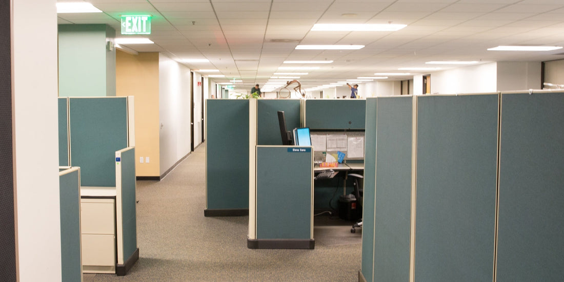 Molina Center Project