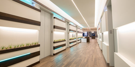 Serendipity Labs Dallas Hall Arts Project